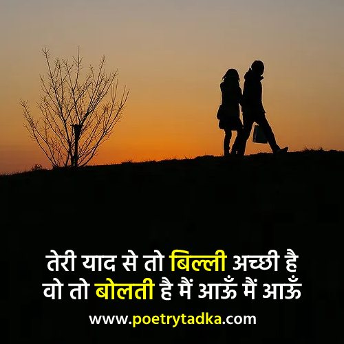 Teri yaad se to billi achchhi hai - from Facebook Shayari