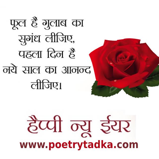 Happy new year Shayari on Rose