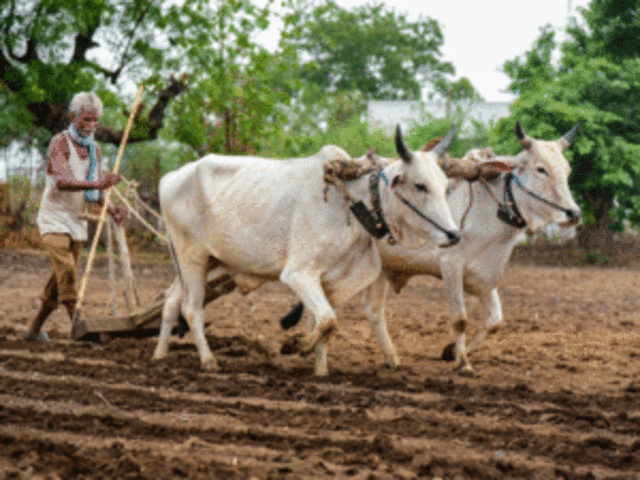 A farmer Hindi Story - from Hindi Kahaniyan