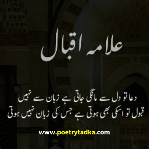 Allama Iqbal Quote in Urdu - from Allama Iqbal Quotes