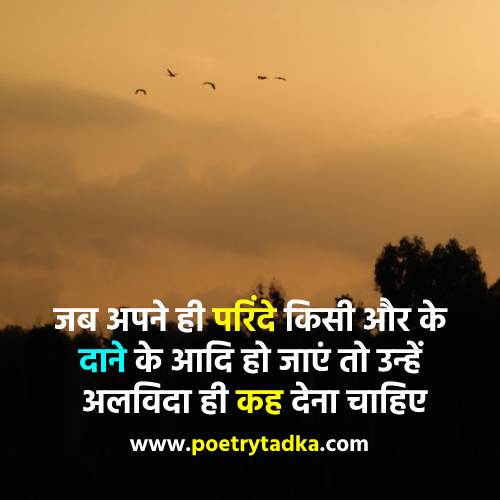 Bye bye Shayari - from Good bye Shayari