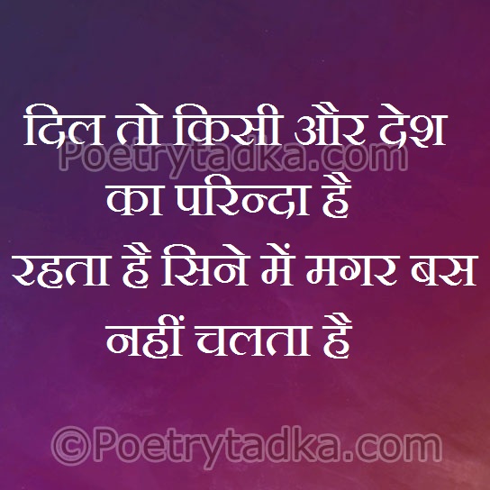 Dil to kisi aur desh ka prinda - from Friendship Quotes