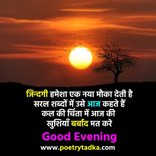 Good evening Status - from Good Evening Shayari