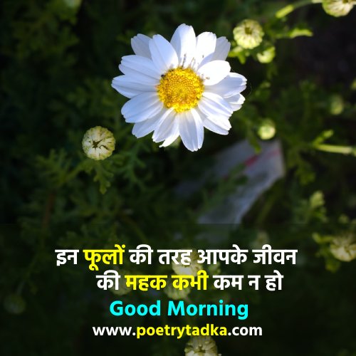 Good Morning Wishes in Hindi