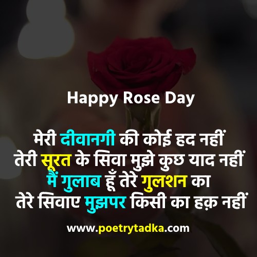 Happy Rose Day Shayari