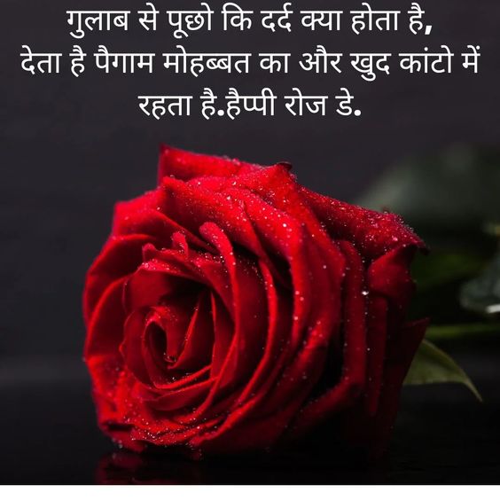 Happy Rose Day Shayari in Hindi ! Gulab Shayari