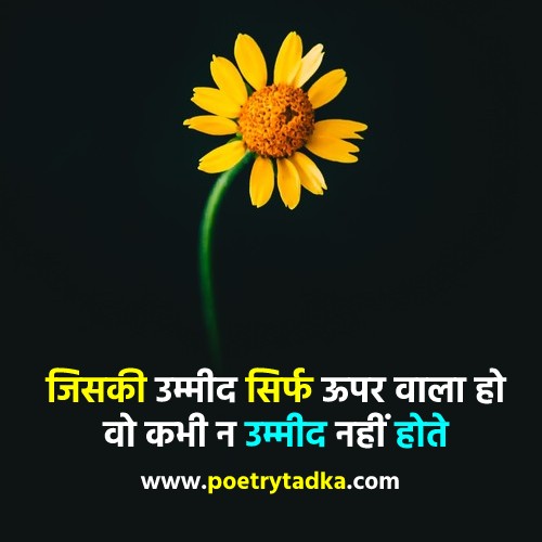 Hindi Whatsapp status Download - from Hindi Status