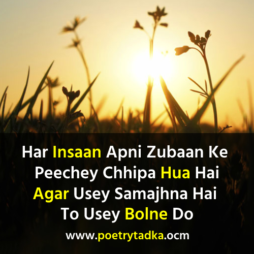 English life shayari