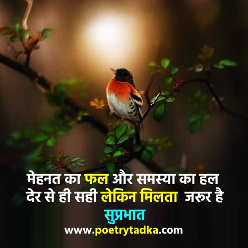 Morning Quotes in Hindi - from Good Morning Quotes in Hindi