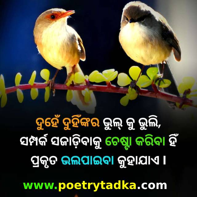 Odia shayari photo