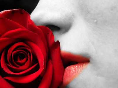 Khushboo shayari - from Rose Day Shayari