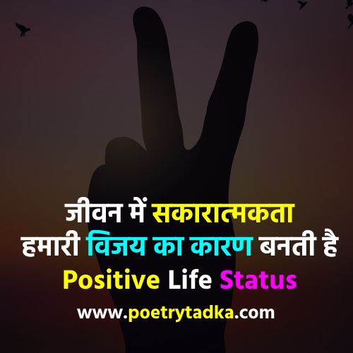 Positive Life Status - from Life Status