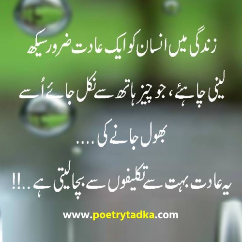 Quotes about life in Urdu - from Urdu Quotes