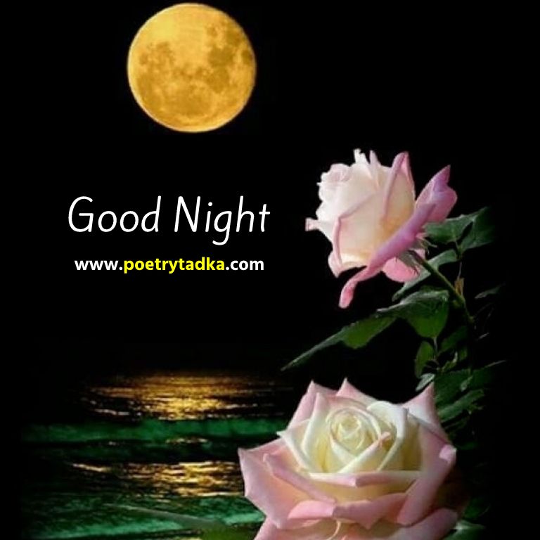 Romantic Good Night Photo Download - from Good Night Images