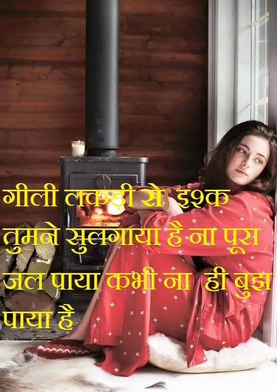 gili lakdi se ishq tumne sungaya hai