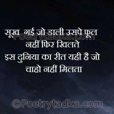 Sookh gai jo dali uspe fool nahi fir khilte - from Sad Shayari in Hindi