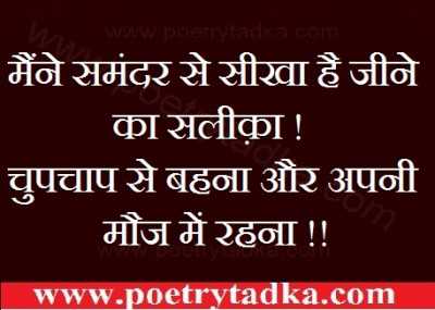 maine shikha
