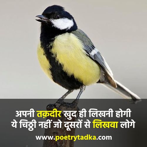 Taqdeer Quotes in Hindi - from Taqdeer Shayari